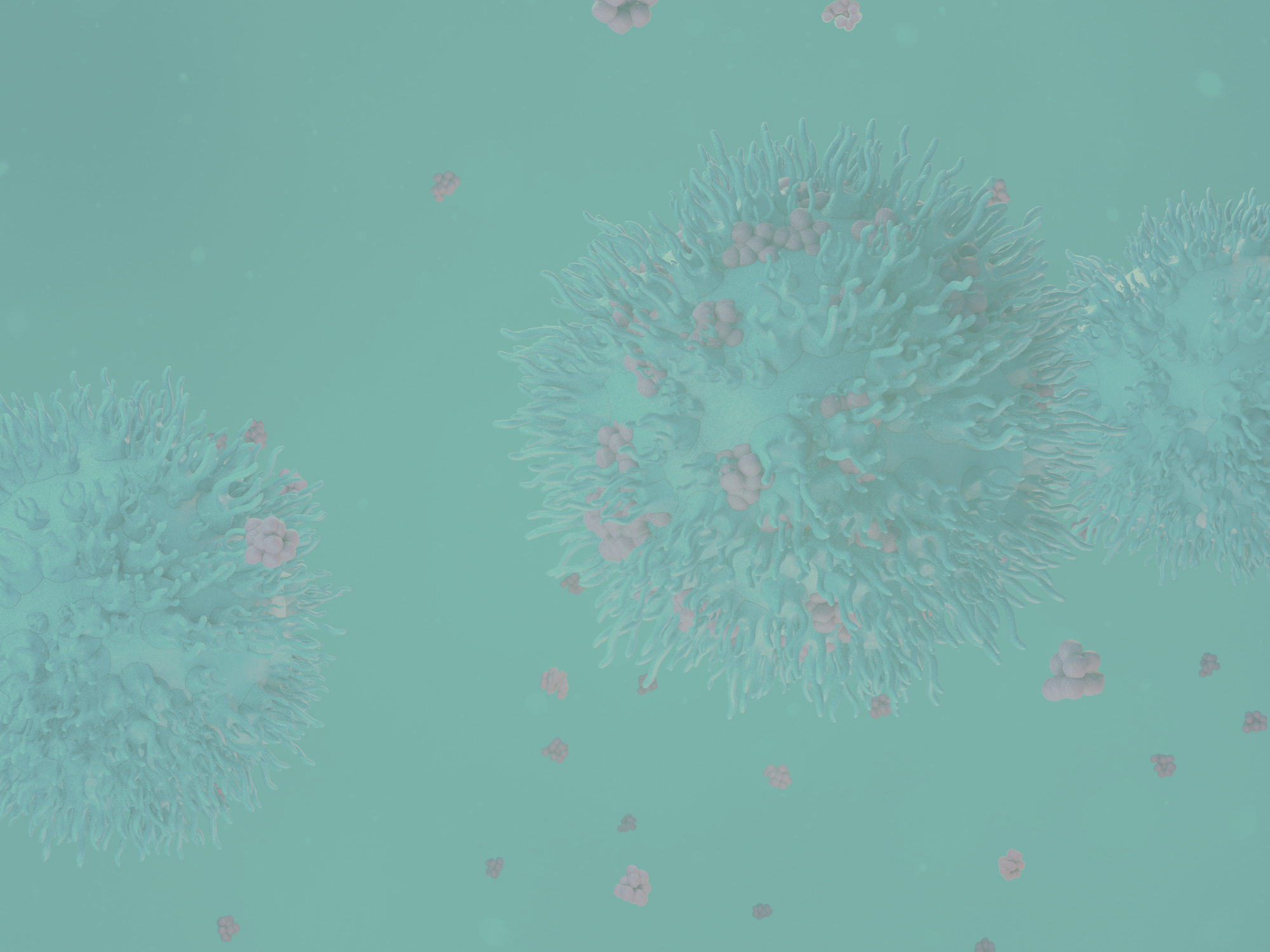 HCP_FEB2025